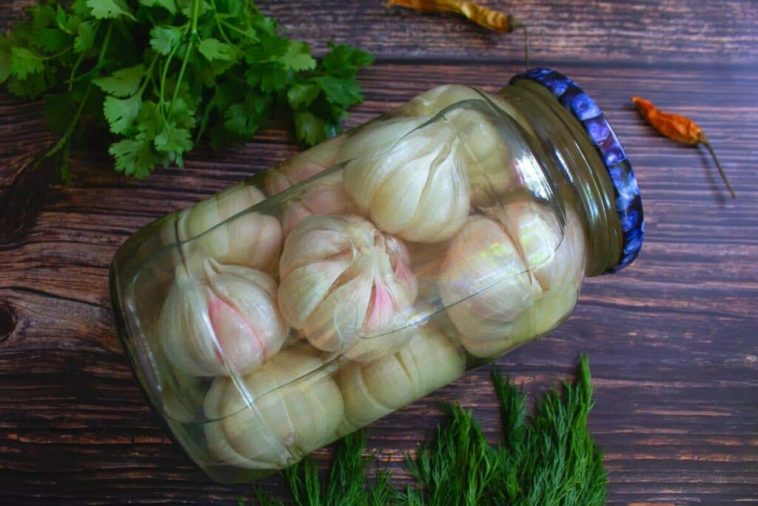 Как я мариную молодой чеснок на зиму — просто и вкусно