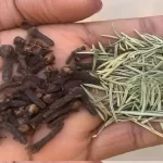 izobrazhenie 2025 04 23 201205889