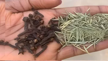 izobrazhenie 2025 04 23 201205889