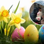 Погода на Пасху и Вербное воскресенье: чего ждать украинцам 16 Погода на Пасху и Вербное воскресенье: чего ждать украинцам
