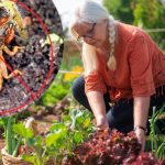 Как эффективно защитить огород от медведки: 5 проверенных методов борьбы 16 Как эффективно защитить огород от медведки: 5 проверенных методов борьбы