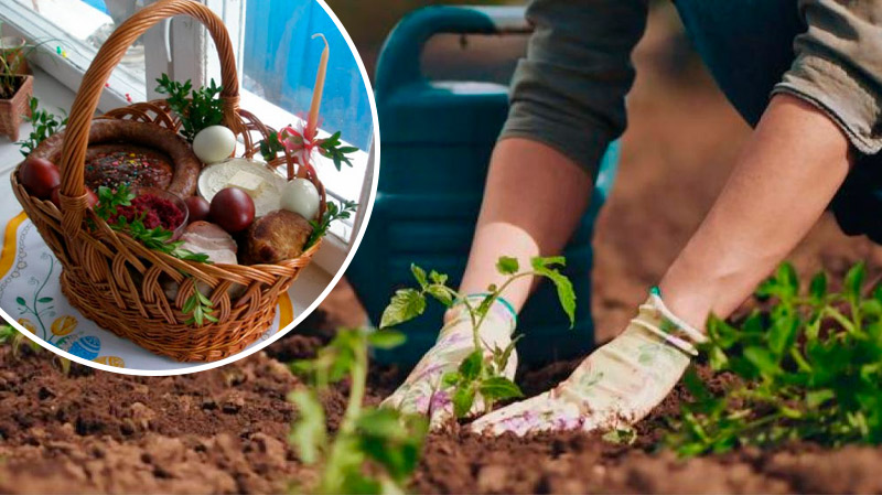 Можно ли сажать растения на Страстной неделе: мнение священников и народные приметы