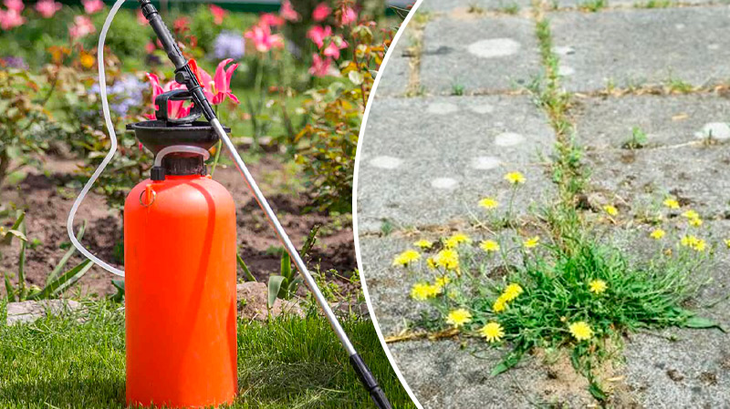 Простое средство от сорняков, которое действует всё лето: дёшево, безопасно и эффективно!