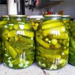 Бочковые огурцы холодным способом: папин секрет, проверенный 30 годами! 15 Бочковые огурцы холодным способом: папин секрет, проверенный 30 годами!