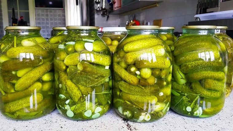 Бочковые огурцы холодным способом: папин секрет, проверенный 30 годами!
