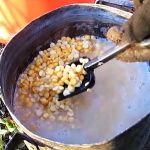 Простой и недорогой способ навсегда избавиться от медведки на огороде