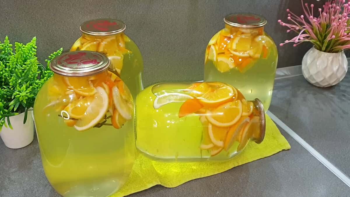 ОСВЕЖАЮЩИЙ ЦИТРУСОВЫЙ НАПИТОК “ДОМАШНИЙ МОХИТО” С МЯТОЙ (НА ЗИМУ)