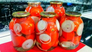 Лучший рецепт помидоров на зиму — невероятно вкусные и ароматные