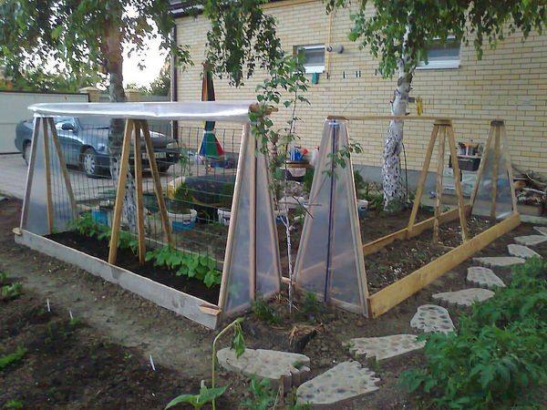 🥒 Парник для огурцов: гениальные идеи, которые приближают урожай
