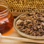 Прополис — мощное природное средство. Как приготовить настойку дома