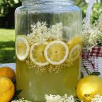 497900772 696296573354500 1583915107403034824 n