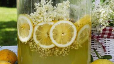 497900772 696296573354500 1583915107403034824 n