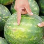 Как определить наличие нитратов в арбузе: простые советы дома и при покупке