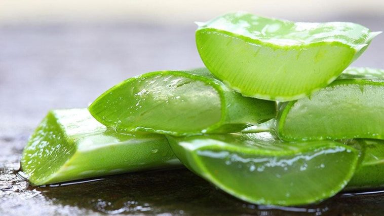 11 весомых причин пить воду с алоэ вера каждый день
