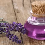 Лаванда в масле: сильнее любых лекарств