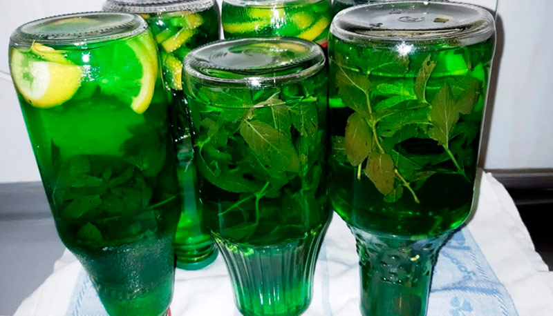 Домашний мохито на зиму — готовлю сразу 6 литров! С мятой или мелиссой — вкусно, ароматно, освежающе