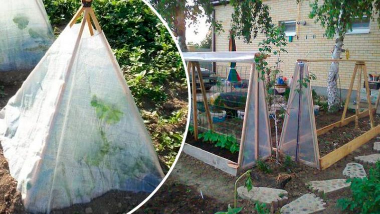 Парник для огурцов: гениальные идеи, которые приближают урожай