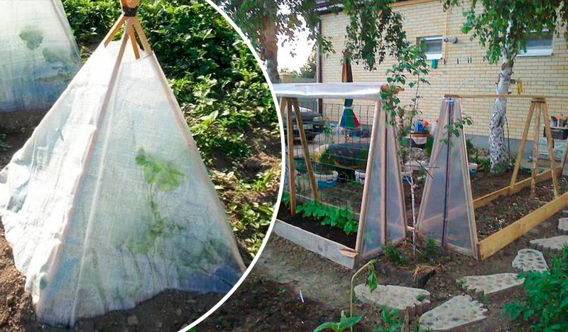 Парник для огурцов: гениальные идеи, которые приближают урожай