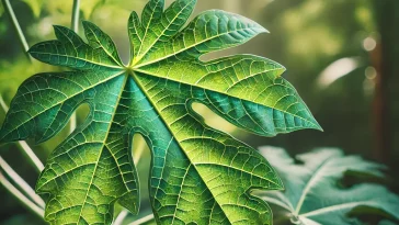 b3aaf5f5 0e1e 4327 9dde b989dddd216e