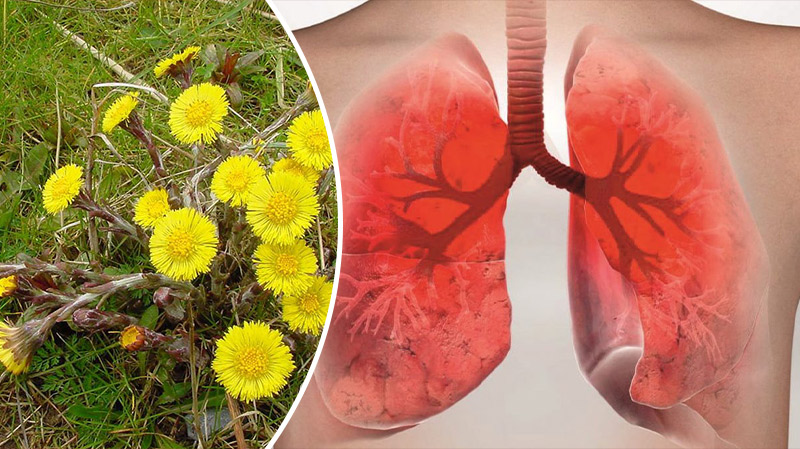 bvdbvjdjvgrnibhsbhccsjbcj