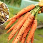 bvdbvjdjvgrnibhsbsjbcj