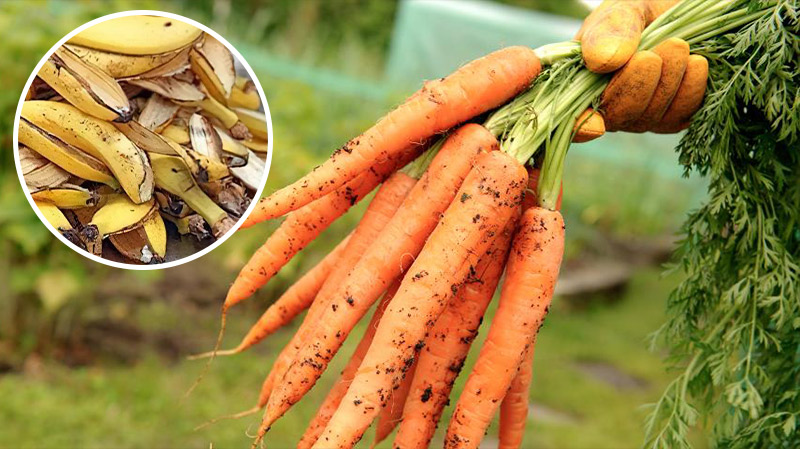 bvdbvjdjvgrnibhsbsjbcj