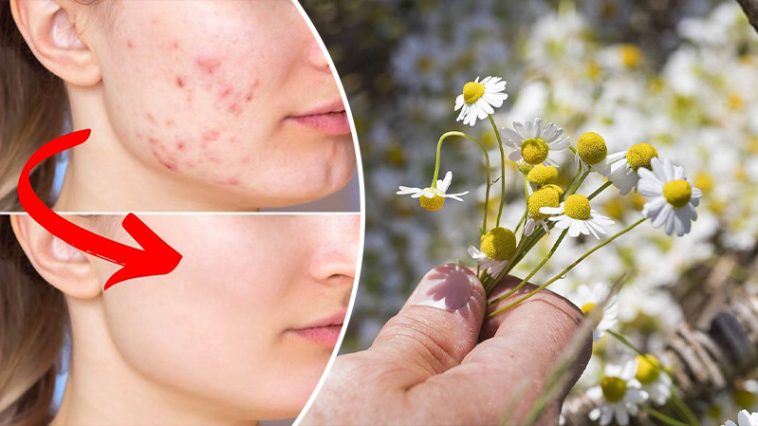 bvdbvjvgrnibhsbhcsdcsjbcj