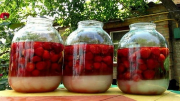 Идеальная ягодная наливка: по 4 стакана ягод, сахара, воды и водки — вкус на высоте!