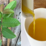 Лучший лечебный тоник: мощный напиток против отёков ног, диабета и плохого кровообращения 11 Лучший лечебный тоник: мощный напиток против отёков ног, диабета и плохого кровообращения