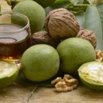Настойка из зелёных грецких орехов с мёдом — целебное средство из народной аптеки