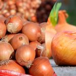 Π§ΡΠΎ Π΄Π΅Π»Π°ΡΡ, Π΅ΡΠ»ΠΈ Π»ΡΠΊ Π½Π°ΡΠ°Π» ΠΏΠΎΡΡΠΈΡΡΡΡ Π²ΠΎ Π²ΡΠ΅ΠΌΡ Ρ
ΡΠ°Π½Π΅Π½ΠΈΡ: ΡΠΎΠ²Π΅ΡΡ Π΄Π»Ρ Ρ
ΠΎΠ·ΡΠ΅ΠΊ 14 Π§ΡΠΎ Π΄Π΅Π»Π°ΡΡ, Π΅ΡΠ»ΠΈ Π»ΡΠΊ Π½Π°ΡΠ°Π» Π³Π½ΠΈΡΡ Π²ΠΎ Π²ΡΠ΅ΠΌΡ Ρ
ΡΠ°Π½Π΅Π½ΠΈΡ: ΡΠΎΠ²Π΅ΡΡ Π΄Π»Ρ Ρ
ΠΎΠ·ΡΠ΅ΠΊ