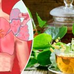 Липа — природное сокровище для здоровья