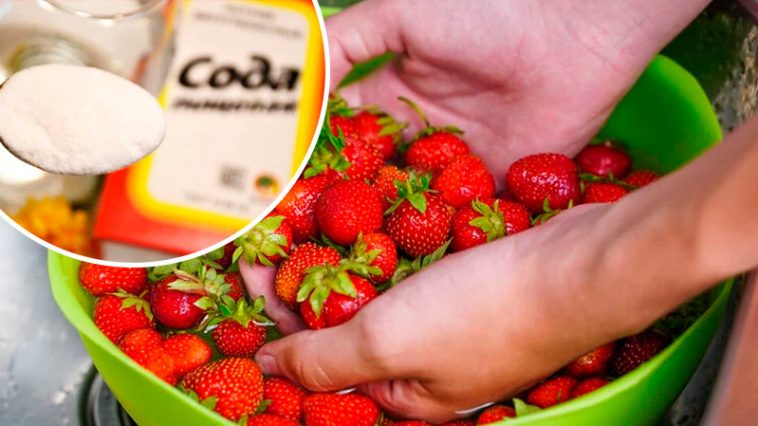 Зачем мыть клубнику с содой и как делать это правильно