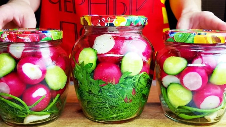 Редис, от которого все в восторге: Закрываю 100 банок – разлетаются мгновенно!