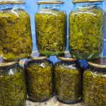 Каждый год заготавливаю по 40 банок! Самый простой рецепт щавеля на зиму — без соли и уксуса