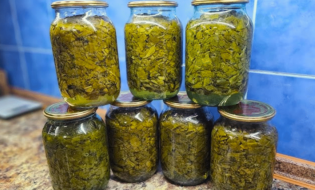 Каждый год заготавливаю по 40 банок! Самый простой рецепт щавеля на зиму — без соли и уксуса