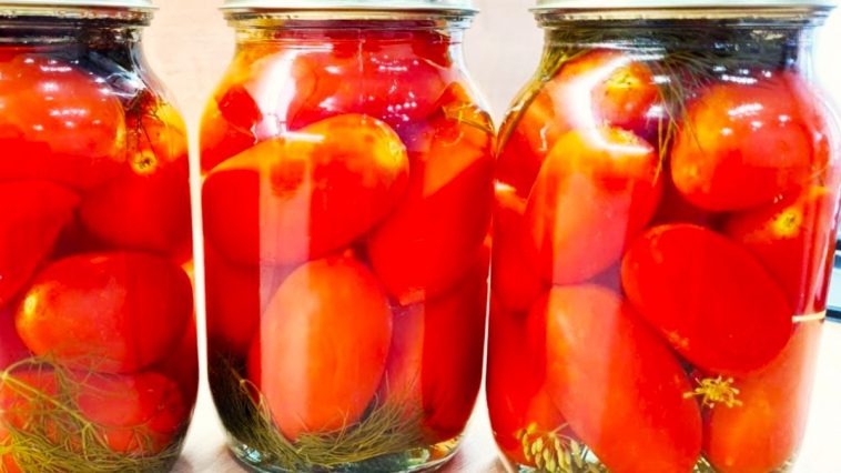 Помидоры по рецепту свекрови — без уксуса и лимонной кислоты! Стоят годами в квартире!