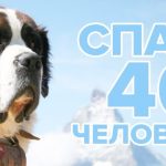 sddefault e1747803844357