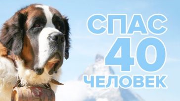 Барри: герой Альп, павший от сорок первого человека. История 1 sddefault e1747803844357