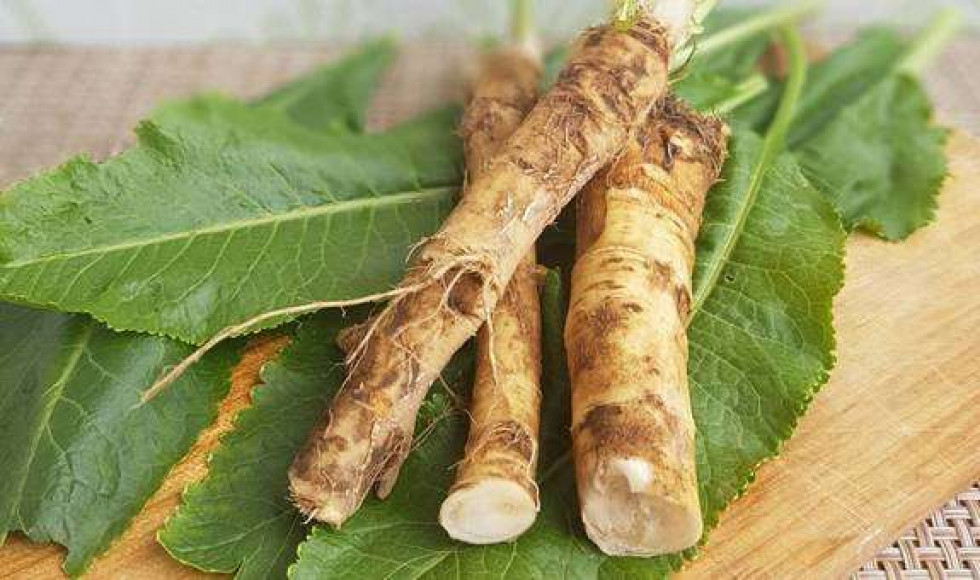 Хрен – природная сила для мозга, сердца и костей: как правильно употреблять