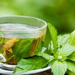 Мята перечная - природное сокровище для здоровья и бодрости 18 Мята перечная - природное сокровище для здоровья и бодрости