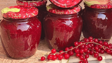 Конфитюр из красной смородины на зиму: лучший рецепт без загустителей!