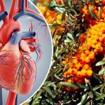 Облепиха — «золотая ягода» для здоровья и красоты: польза и лучшие рецепты применения 14 Облепиха — «золотая ягода» для здоровья и красоты: польза и лучшие рецепты применения