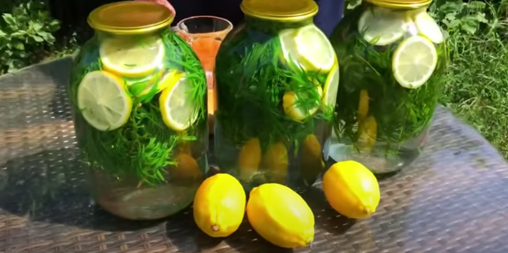 ✨ Напиток, который стоит заготовить на зиму! Домашний тархун — свежий, ароматный и очень вкусный!