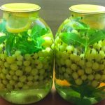 bbcaa0e0fb98c804db5f9789a3f1e959