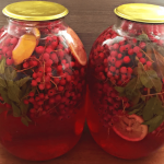 Мохито из красной смородины, лимона и мяты на зиму: компот без стерилизации 14 Мохито из красной смородины, лимона и мяты на зиму: компот без стерилизации