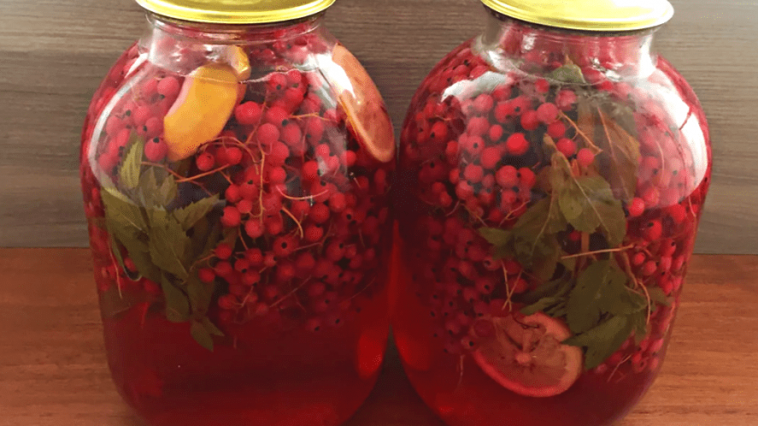 Мохито из красной смородины, лимона и мяты на зиму: компот без стерилизации