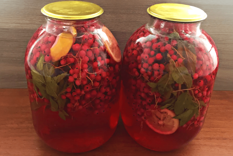 Мохито из красной смородины, лимона и мяты на зиму: компот без стерилизации