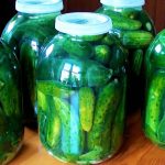 Огурцы по дедовскому рецепту: холодный способ под капроновую крышку без стерилизации! 17 Огурцы по дедовскому рецепту: холодный способ под капроновую крышку без стерилизации!