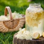 Домашний квас из бузины: как приготовить полезный и вкусный напиток 13 Домашний квас из бузины: как приготовить полезный и вкусный напиток